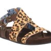 Dingo Women's Sage Brush - Leopard